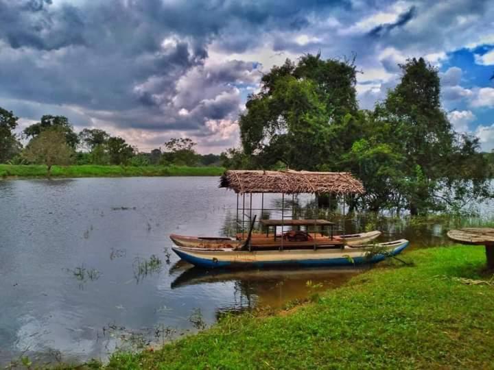 Elephant Safari Lodge Sigiriya Junction Habarana Kültér fotó