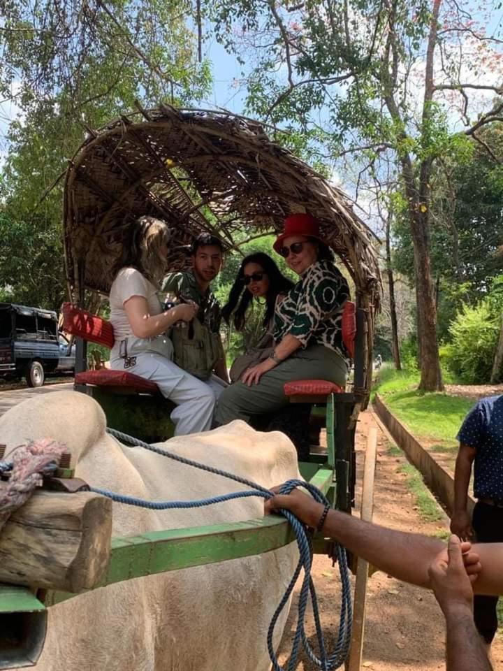 Elephant Safari Lodge Sigiriya Junction Habarana Kültér fotó