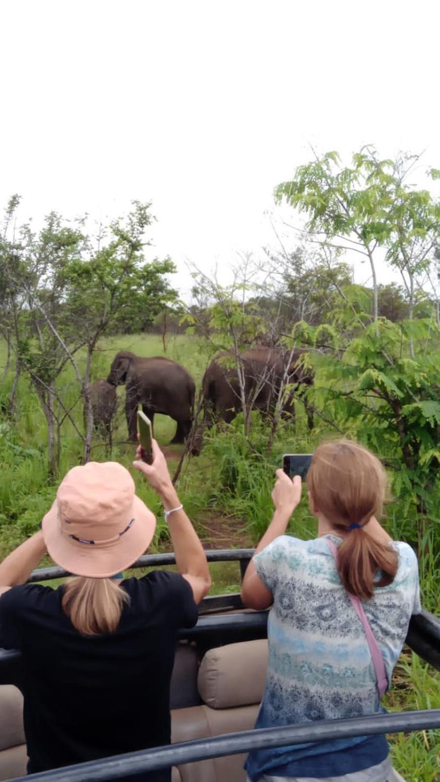 Elephant Safari Lodge Sigiriya Junction Habarana Kültér fotó