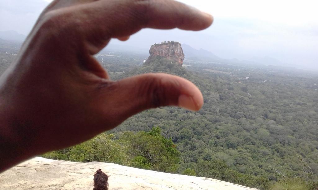 Elephant Safari Lodge Sigiriya Junction Habarana Kültér fotó